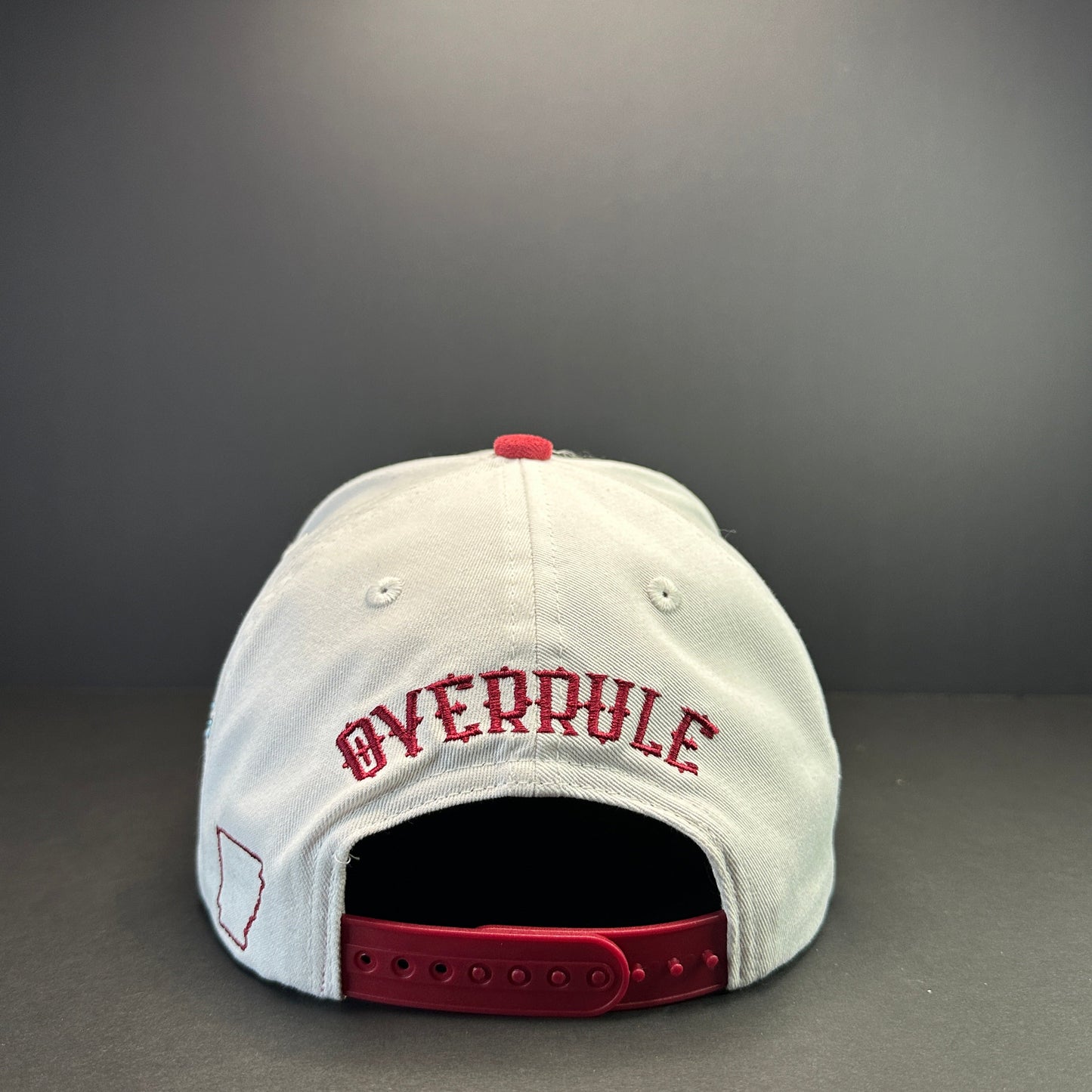 AR Two-Tone “HOG” Snapback