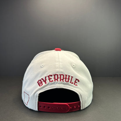AR Two-Tone “HOG” Snapback